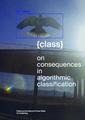 {class} – On Consequences in Algorithmic Classification